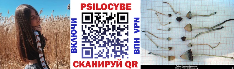 Псилоцибиновые грибы Cubensis  Купить где  Нягань 